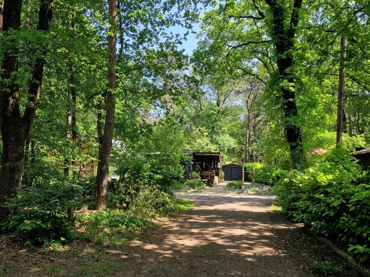 Heerlijk Huisje In Het Bos Op Chaletpark Kempenbos Diessen Экстерьер фото